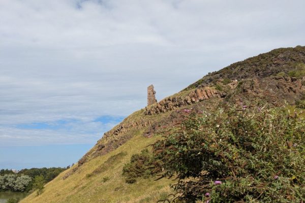 IMG_3865